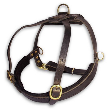 Cardiga Welsh Corgi Tracking,Walking Leather Dog Harness